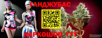 крисы Донской