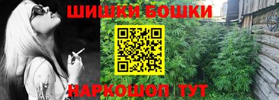 крисы Донской