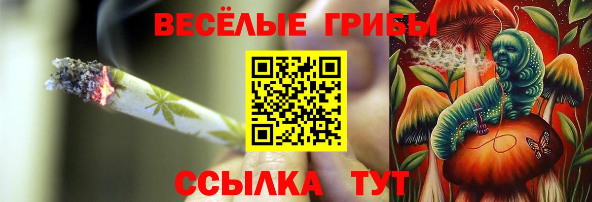 Псилоцибиновые грибы MAGIC MUSHROOMS  Вход с VPN  Нижнеудинск 