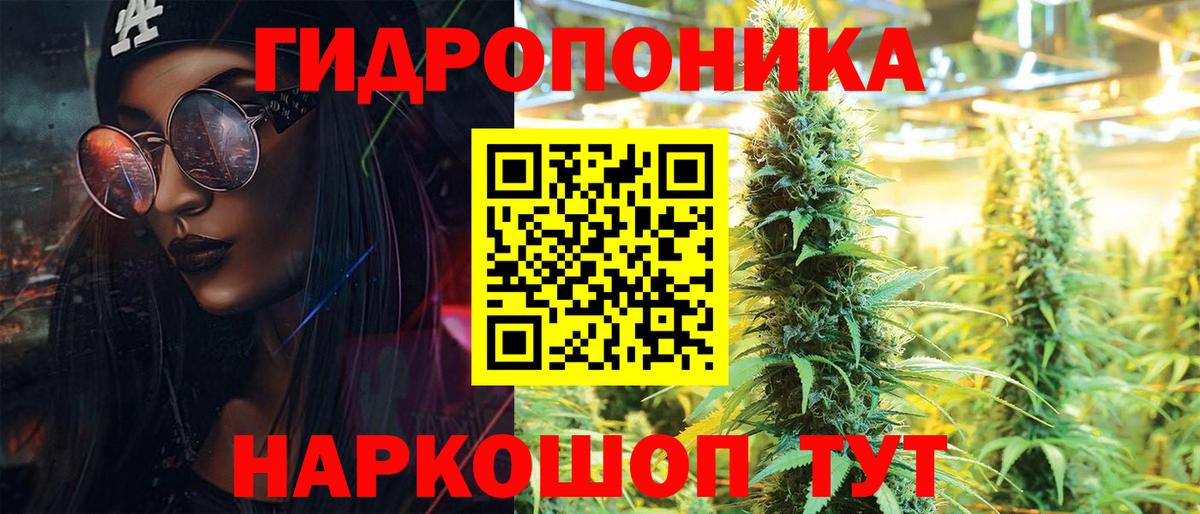 Бошки марихуана тримм  МАРИХУАНА White Widow  Вход с VPN  Канабис планчик  Каннабис ГИДРОПОН  Нижнеудинск 